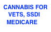 CANNABIS FOR
   VETS, SSDI
  MEDICARE